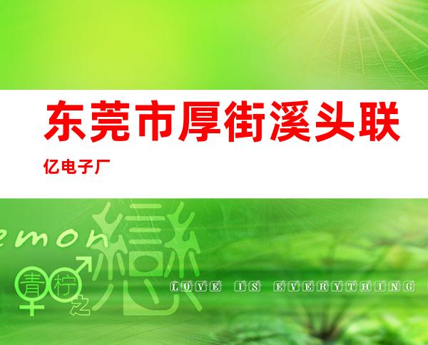 东莞市厚街溪头联亿电子厂
